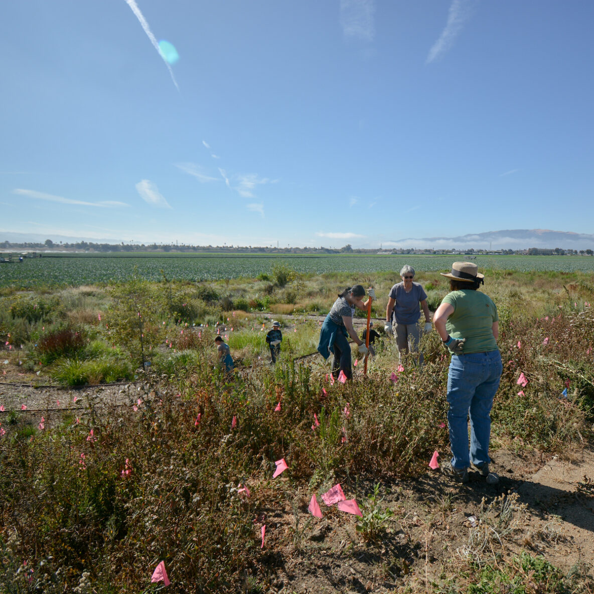 Carr Lake Community Volunteer Planting Day in Salinas Big Sur Land Trust