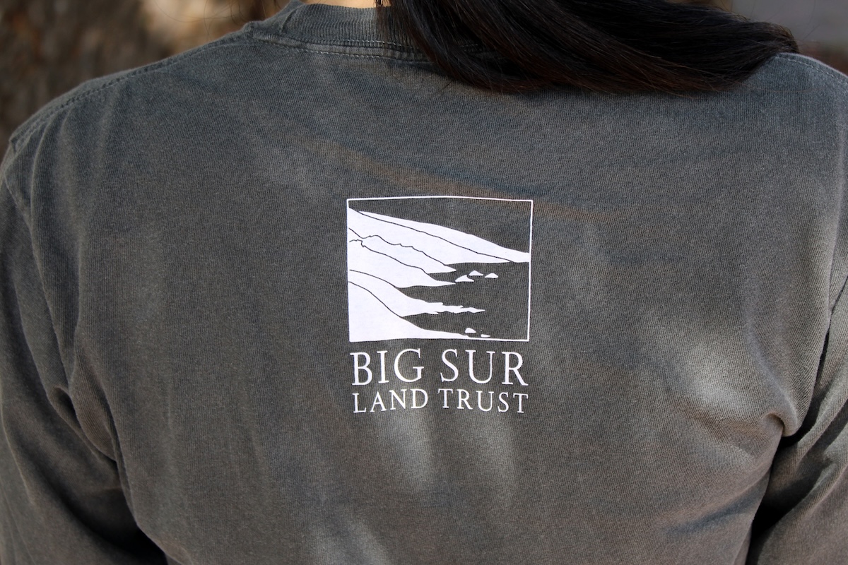 Heavyweight Adult Long Sleeve T-shirt – Pepper - Image 2