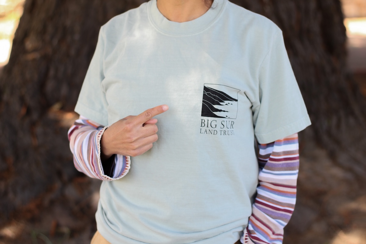 Heavyweight Adult Tee – Bay - Image 5